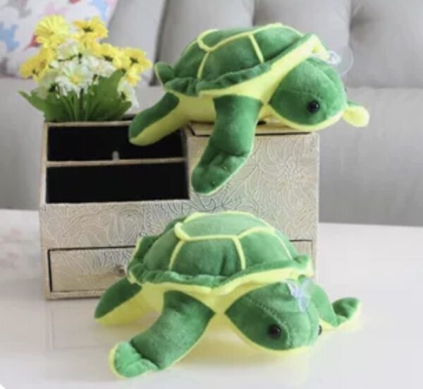 Tortuga Mini