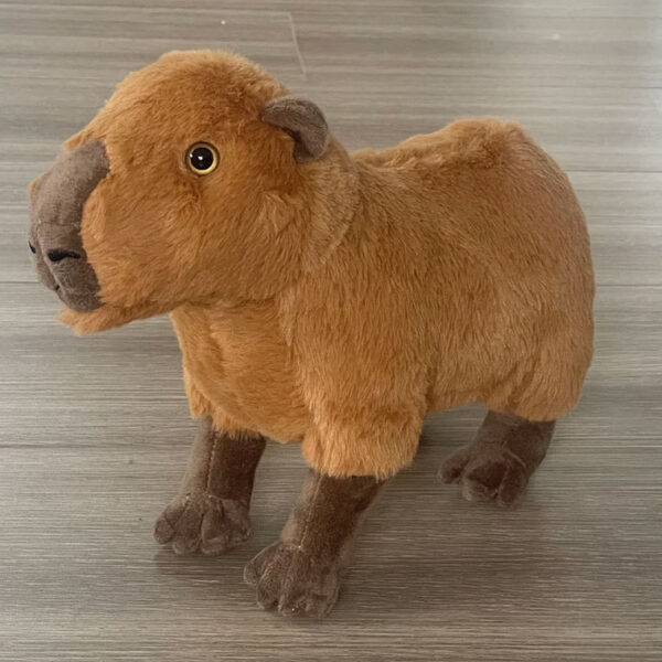 Capybara