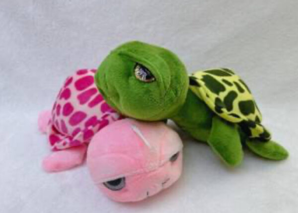Tortuga Ojona