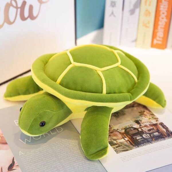 Tortuga Soft